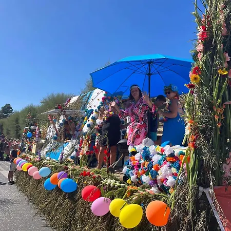 Paradis Le Royon Campsite 4*