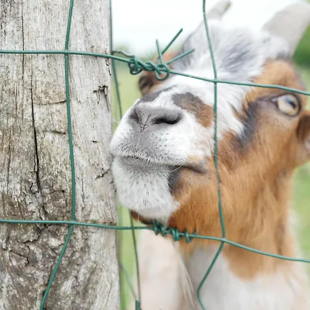 Paradis Le Royon Kemping 4*